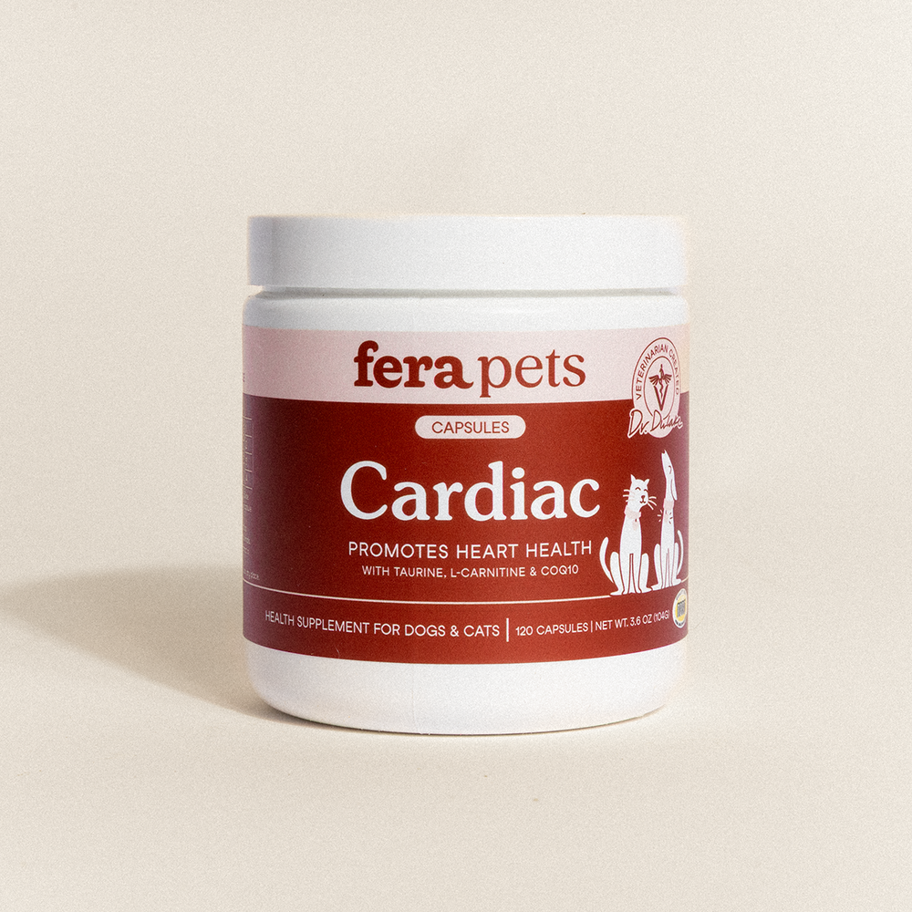 Cardiac Support — Suplemento