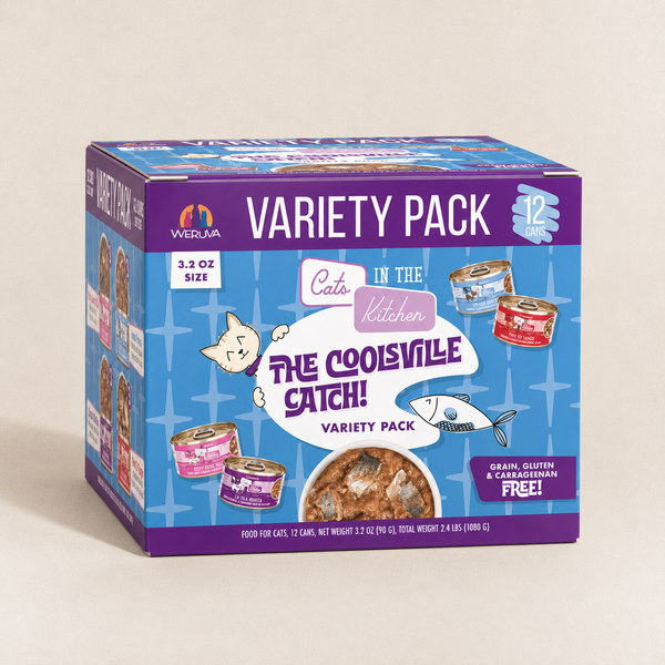 Coolsville - Variety Pack 12pz