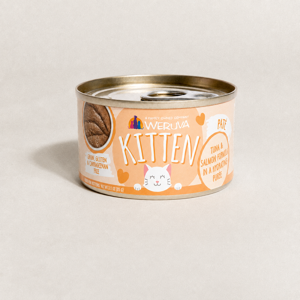 Alimento Húmedo - Kitten Tuna & Salmon 3oz
